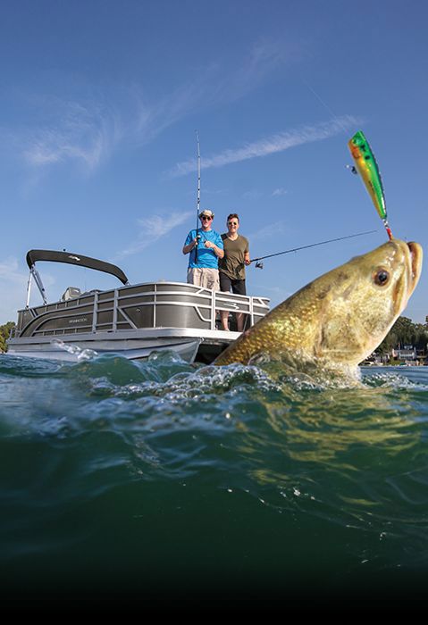 Image for choice number 2