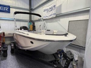 2025 Bayliner M15